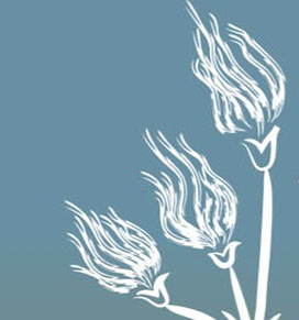 Prairie Smoke flower icon