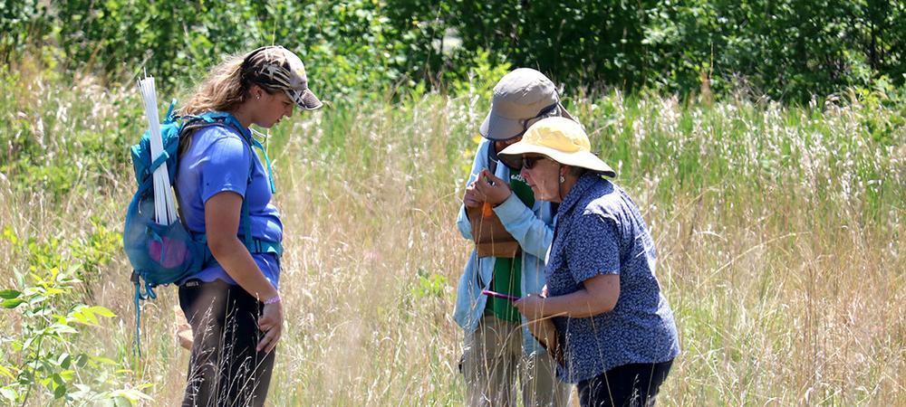 Faculty member and students examining in a field of long grass