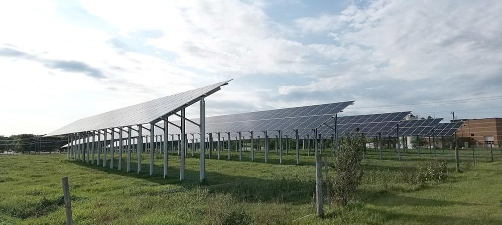 A 240kW agrivoltaic solar PV field 
