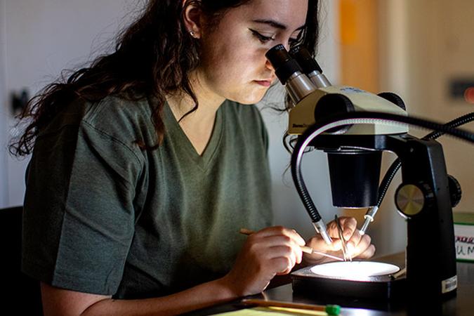 Student in a biology lab examines plant specimens under a microscope