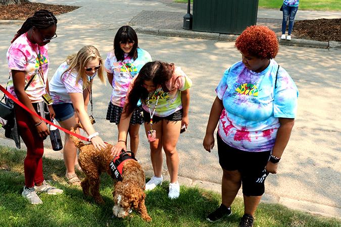 A group of students pets Archie, the campus therapy dog