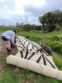 Three people installing a mat on a river bank. 