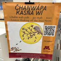 Poster with information about natural cycles in Indigenous language with a QR code on the top right, and an illustration of a yellow moon with leaves and a feather. Includes university logos and an equality statement at the bottom.