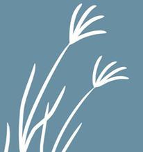 Drawing of tall grass
