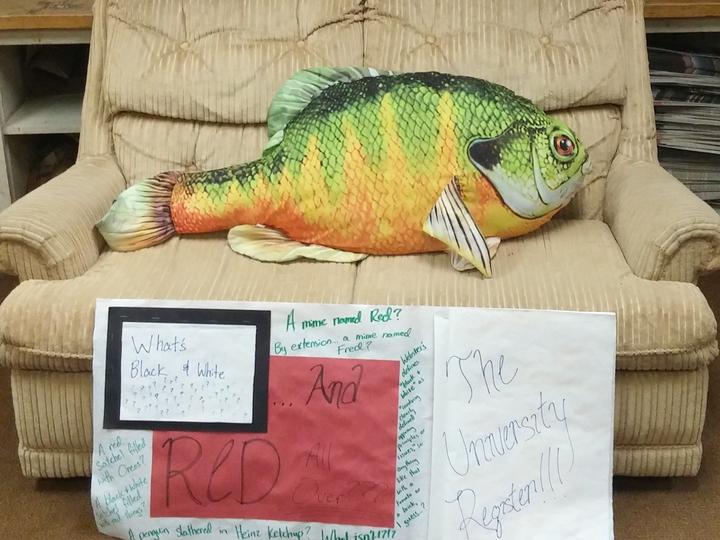 A colorful, oversized fish plush on a tan couch with three handmade signs in front. The left sign reads "What's Black + White and RED all over? A memo named Red? By extension, a friend named Fred!?" The middle sign states "RED" prominently in red letters. The right sign says "The Homestar Runner Rides Again!!!