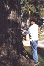 Jason Phelps GPS mapping trees on campus