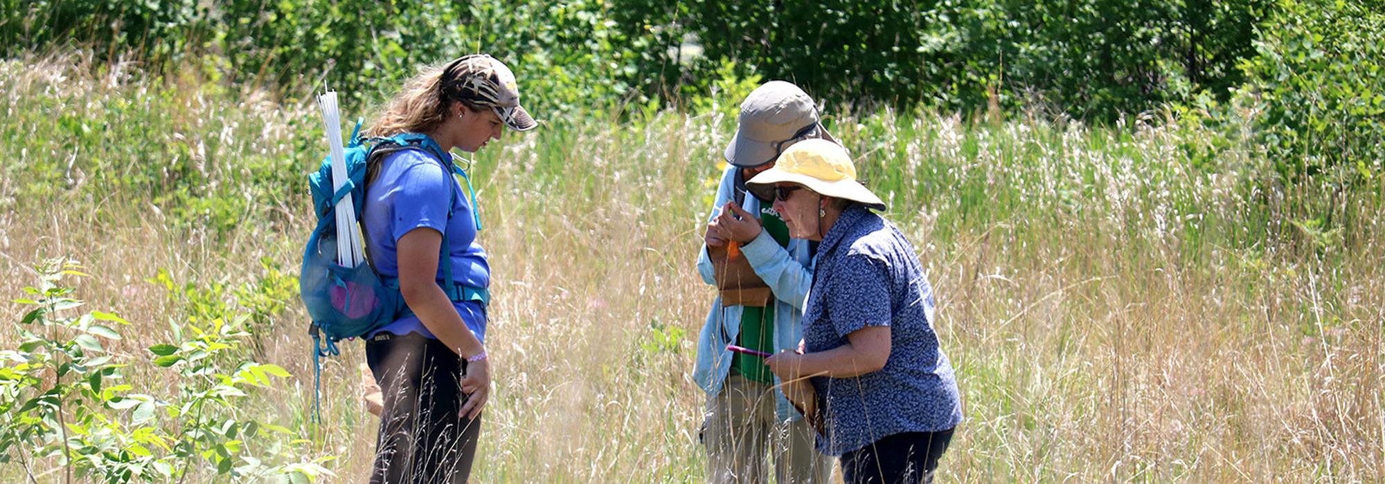 Faculty member and students examining in a field of long grass